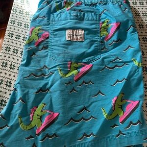 Teal Swim Shorts with Dinosaur Design